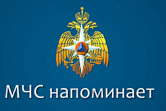 МЧС напоминает о соблюдении правил безопасности на пикнике