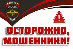 В МВД предупредили о мошенничестве под предлогом помощи в уборке снега УВД